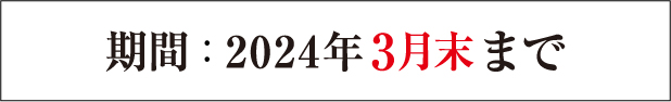 期間:2024年3月末まで