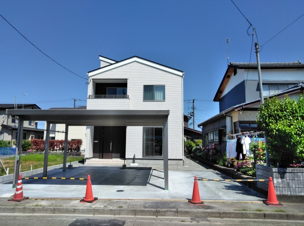 長岡 市 長岡市 Amp Petmd Com 長岡 市 長岡市 Amp Petmd Com